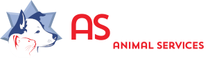 Clovis Animal