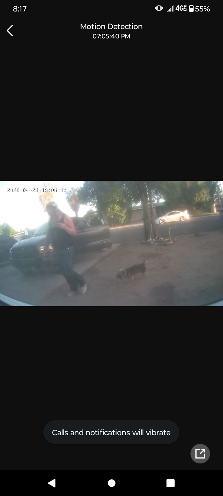 Pet