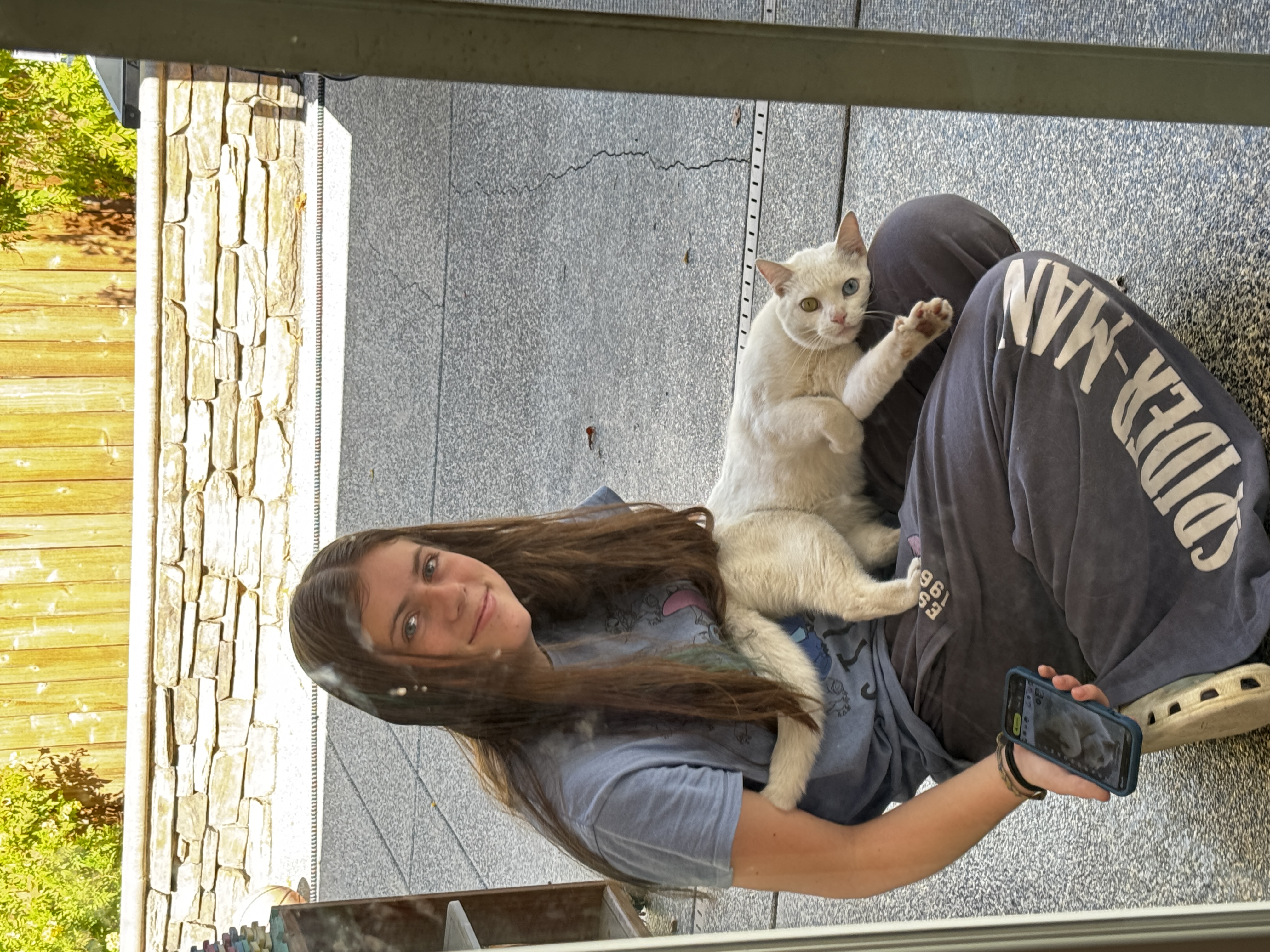 Pet
