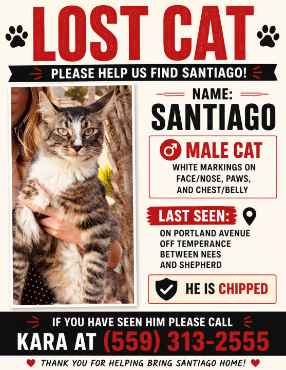 Pet