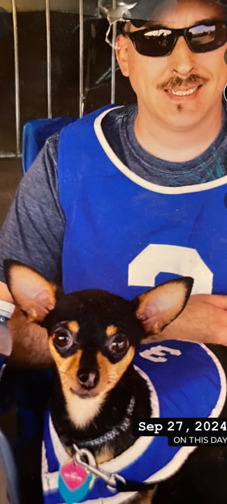 Pet