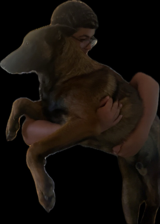 Pet