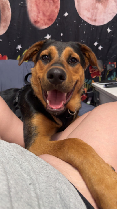 Pet