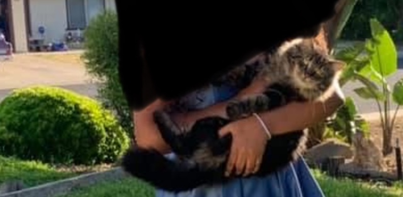 Pet