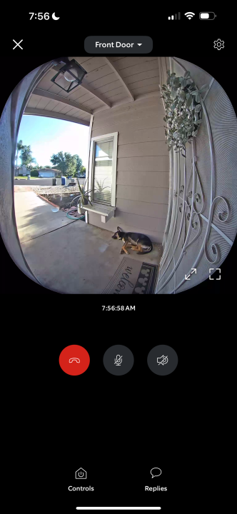 Pet